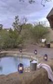 Туры в отель Rhulani Safari Lodge