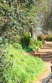Туры в отель Magoebaskloof Hotel Tzaneen