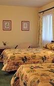 Туры в отель Magoebaskloof Hotel Tzaneen