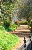 Туры в отель Magoebaskloof Hotel Tzaneen
