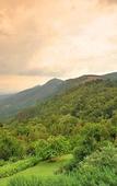 Туры в отель Magoebaskloof Hotel Tzaneen