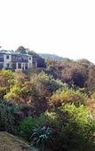 Туры в отель Magoebaskloof Hotel Tzaneen