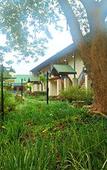 Туры в отель Magoebaskloof Hotel Tzaneen