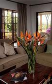 Туры в отель Perry's Bridge Hollow Boutique Hotel