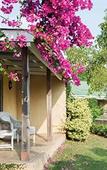 Туры в отель Perry's Bridge Hollow Boutique Hotel