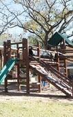 Туры в отель Perry's Bridge Hollow Boutique Hotel