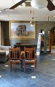 Туры в отель Elephant Springs Hotel
