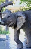 Туры в отель Elephant Springs Hotel