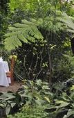Туры в отель Tzaneen Country Lodge