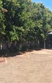 Туры в отель Sixteen Guest House on Main
