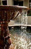 Туры в отель Schoone Oordt Country House