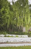 Туры в отель Schoone Oordt Country House