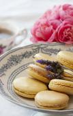 Туры в отель Schoone Oordt Country House