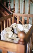 Туры в отель Schoone Oordt Country House