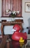 Туры в отель Schoone Oordt Country House
