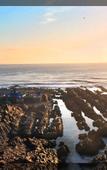 Туры в отель The Point Hotel & Spa