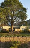 Туры в отель Delaire Graff Lodges & Spa