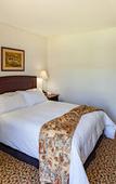 Туры в отель Town Lodge George