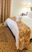 Туры в отель Town Lodge George