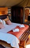 Туры в отель Buffelsdrift Game Lodge