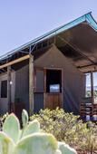 Туры в отель Buffelsdrift Game Lodge
