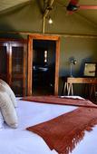 Туры в отель Buffelsdrift Game Lodge