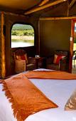 Туры в отель Buffelsdrift Game Lodge