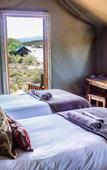 Туры в отель Buffelsdrift Game Lodge