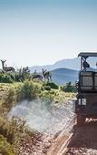 Туры в отель Buffelsdrift Game Lodge