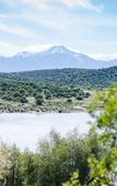 Туры в отель Buffelsdrift Game Lodge