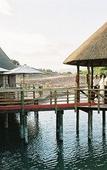 Туры в отель Buffelsdrift Game Lodge