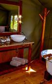 Туры в отель Buffelsdrift Game Lodge