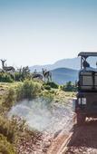 Туры в отель Buffelsdrift Game Lodge
