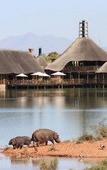 Туры в отель Buffelsdrift Game Lodge