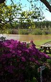 Туры в отель The Lodge L'Avenir