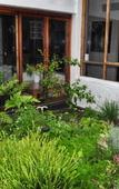 Туры в отель Saxon Lodge