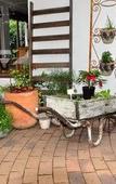 Туры в отель Saxon Lodge