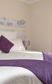 Туры в отель Saxon Lodge