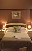 Туры в отель Saxon Lodge