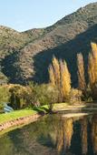 Туры в отель Old Mill Lodge, Working Ostrich Farm & Restaurant, Oudtshoorn