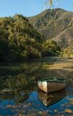 Туры в отель Old Mill Lodge, Working Ostrich Farm & Restaurant, Oudtshoorn