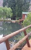 Туры в отель Old Mill Lodge, Working Ostrich Farm & Restaurant, Oudtshoorn