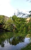 Туры в отель Old Mill Lodge, Working Ostrich Farm & Restaurant, Oudtshoorn