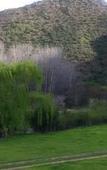 Туры в отель Old Mill Lodge, Working Ostrich Farm & Restaurant, Oudtshoorn