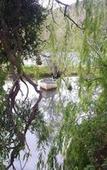 Туры в отель Old Mill Lodge, Working Ostrich Farm & Restaurant, Oudtshoorn
