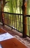 Туры в отель Old Mill Lodge, Working Ostrich Farm & Restaurant, Oudtshoorn