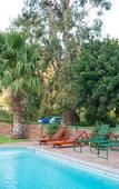 Туры в отель Old Mill Lodge, Working Ostrich Farm & Restaurant, Oudtshoorn