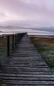 Туры в отель Oyster Creek Lodge