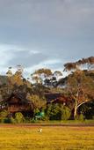 Туры в отель Oyster Creek Lodge