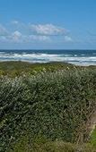 Туры в отель Mosselberg on Grotto Beach